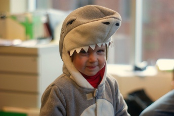 adorable-amazing-baby-baby-shark-beautiful-Favim.com-333962